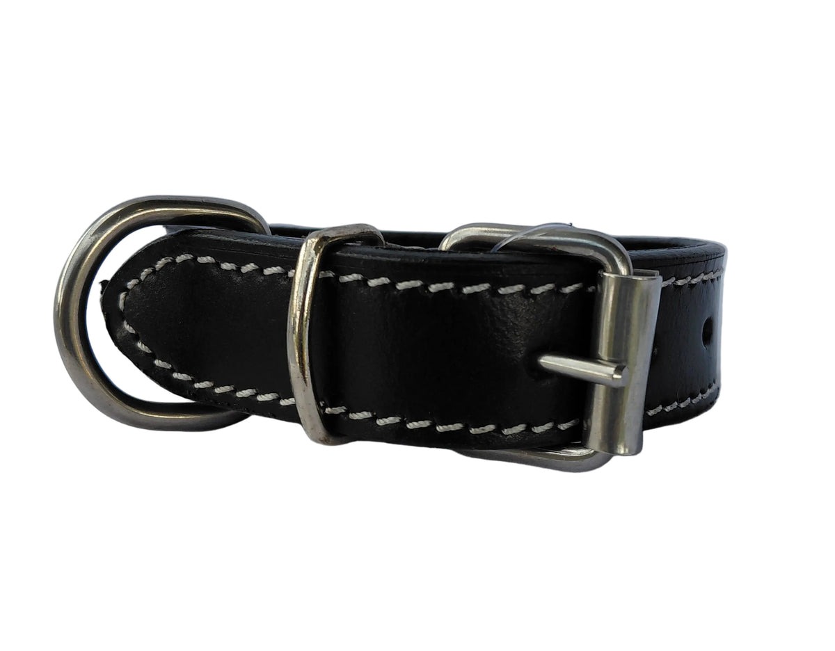 leather dog collar