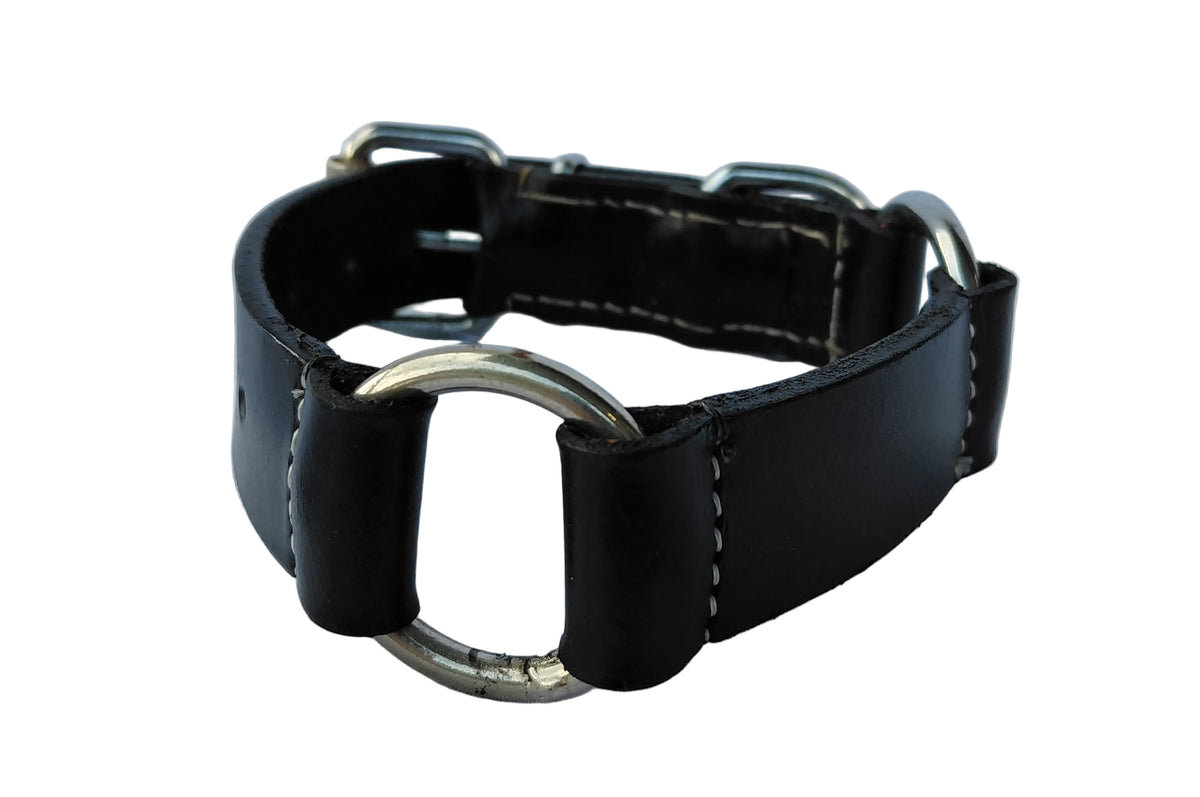 leather dog collar