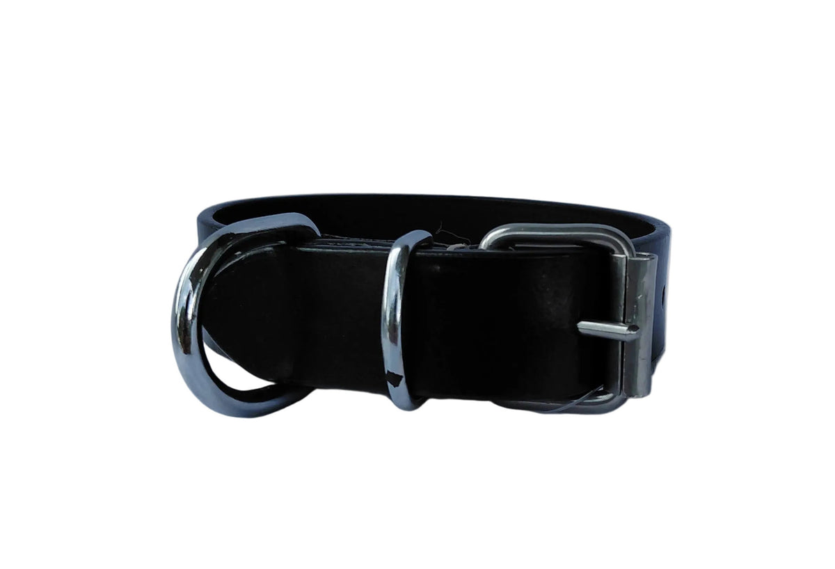 leather dog collar