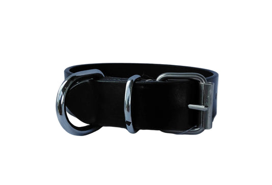 leather dog collar