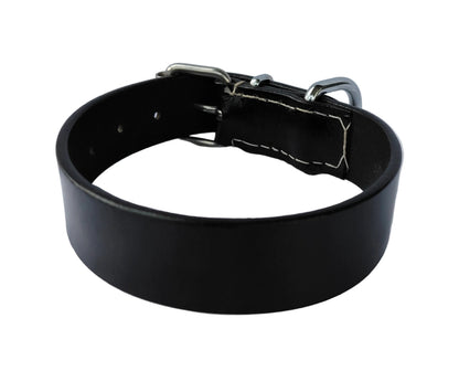 leather dog collar