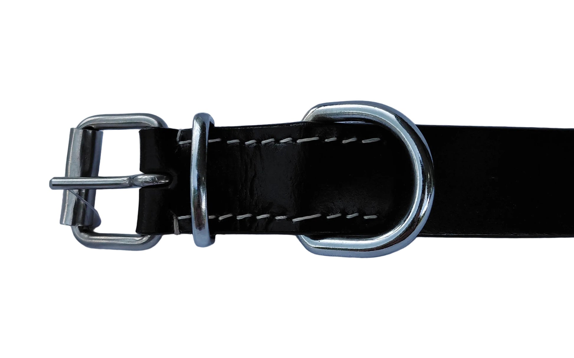 leather dog collar
