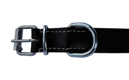 leather dog collar