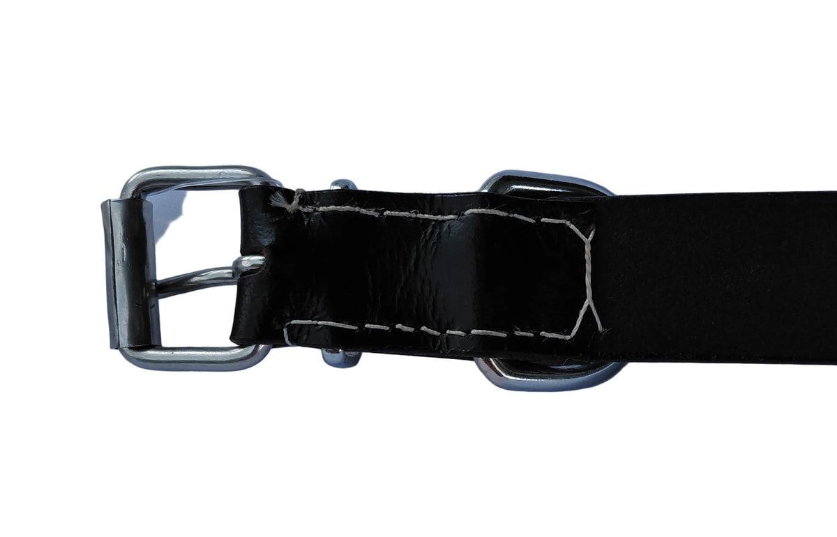 leather dog collar