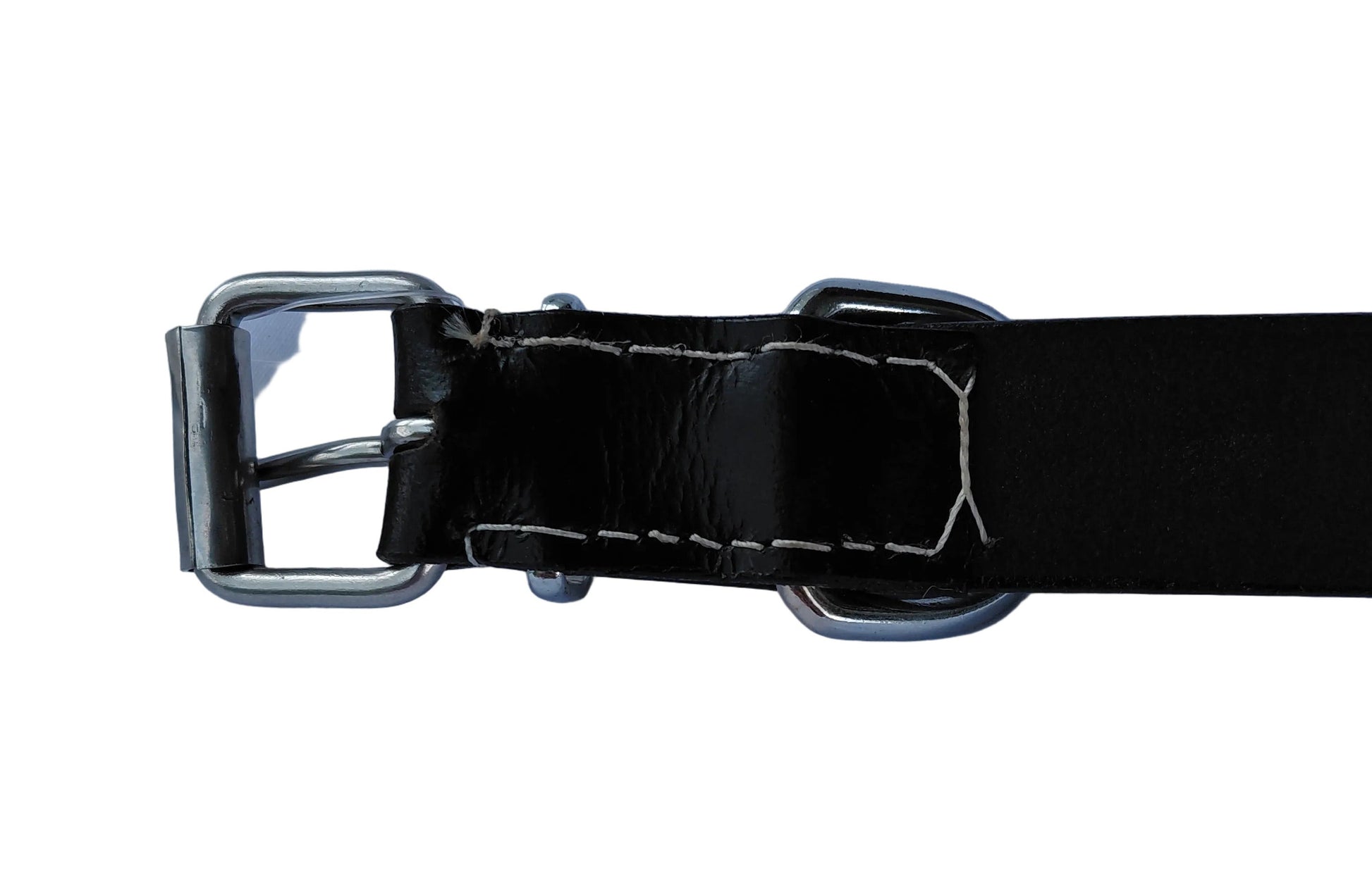 leather dog collar