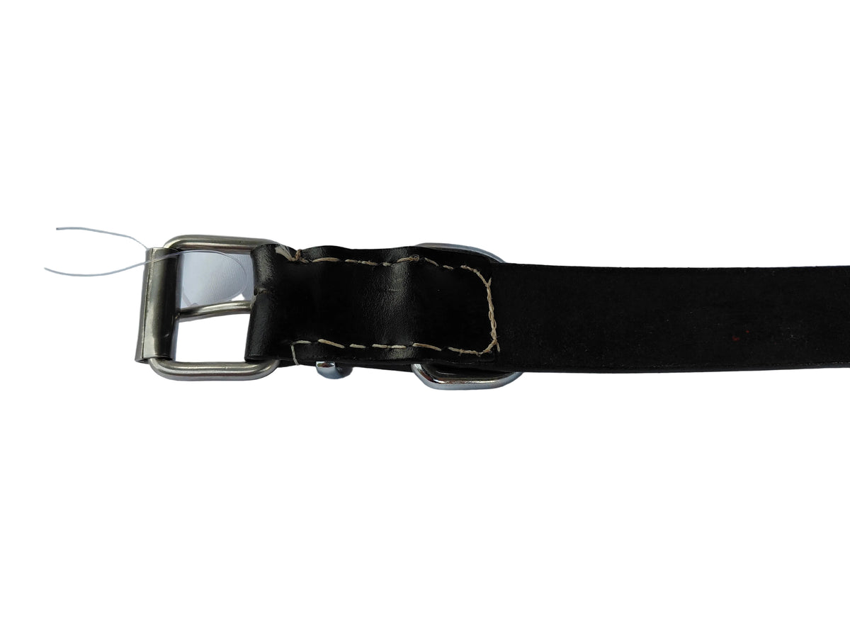 leather dog collar
