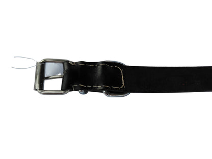 leather dog collar
