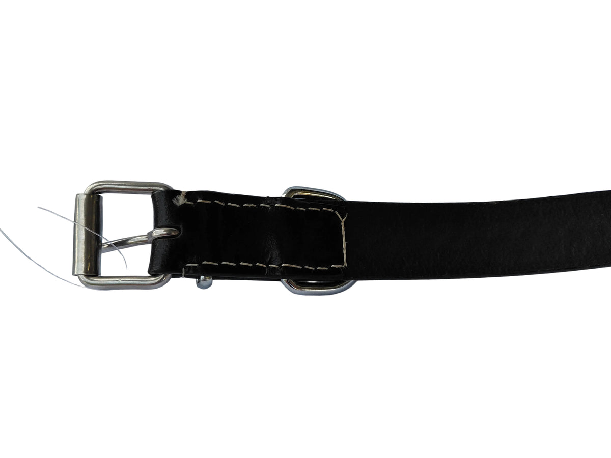 leather dog collar