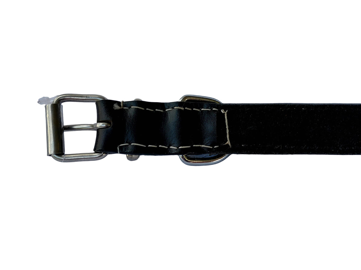 leather dog collar