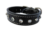 leather dog collar
