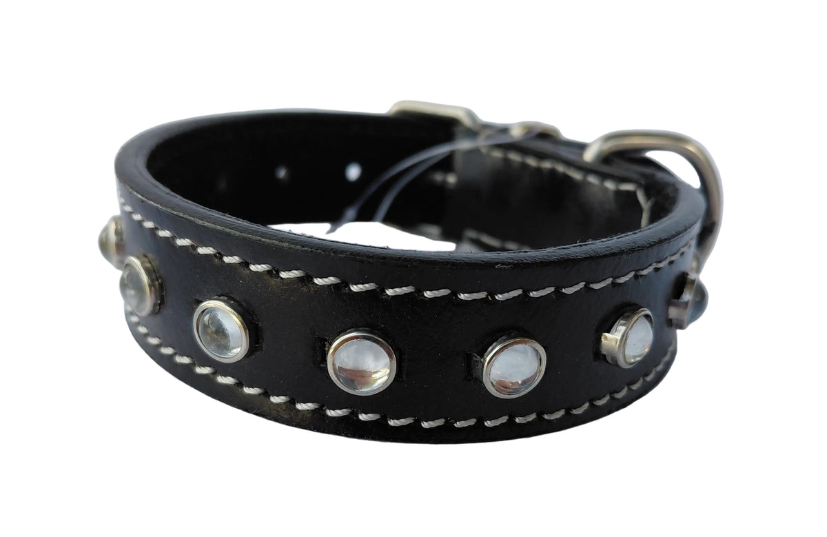 leather dog collar