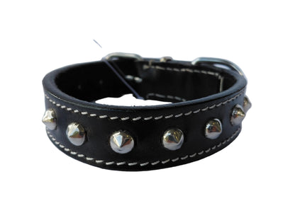 leather dog collar