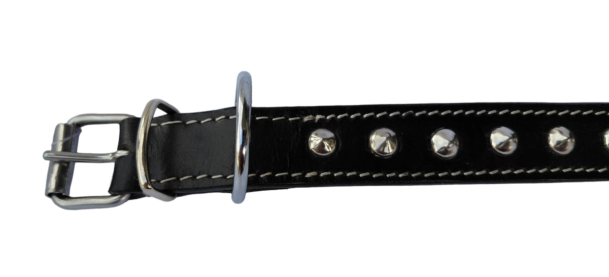 leather dog collar