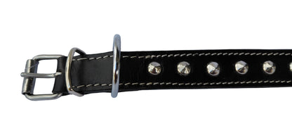 leather dog collar