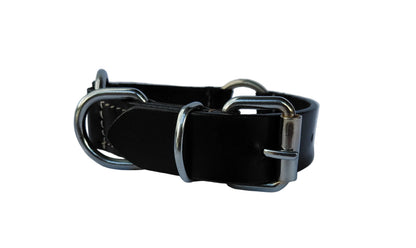 leather dog collar