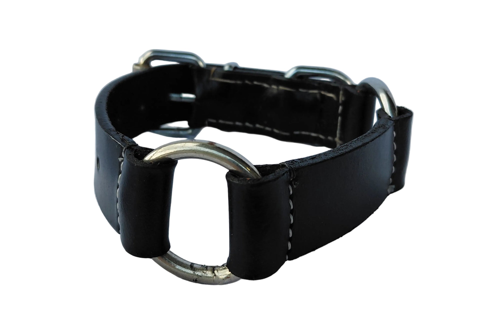 leather dog collar