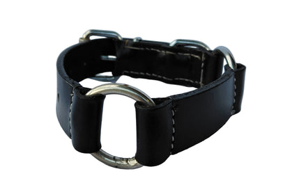leather dog collar