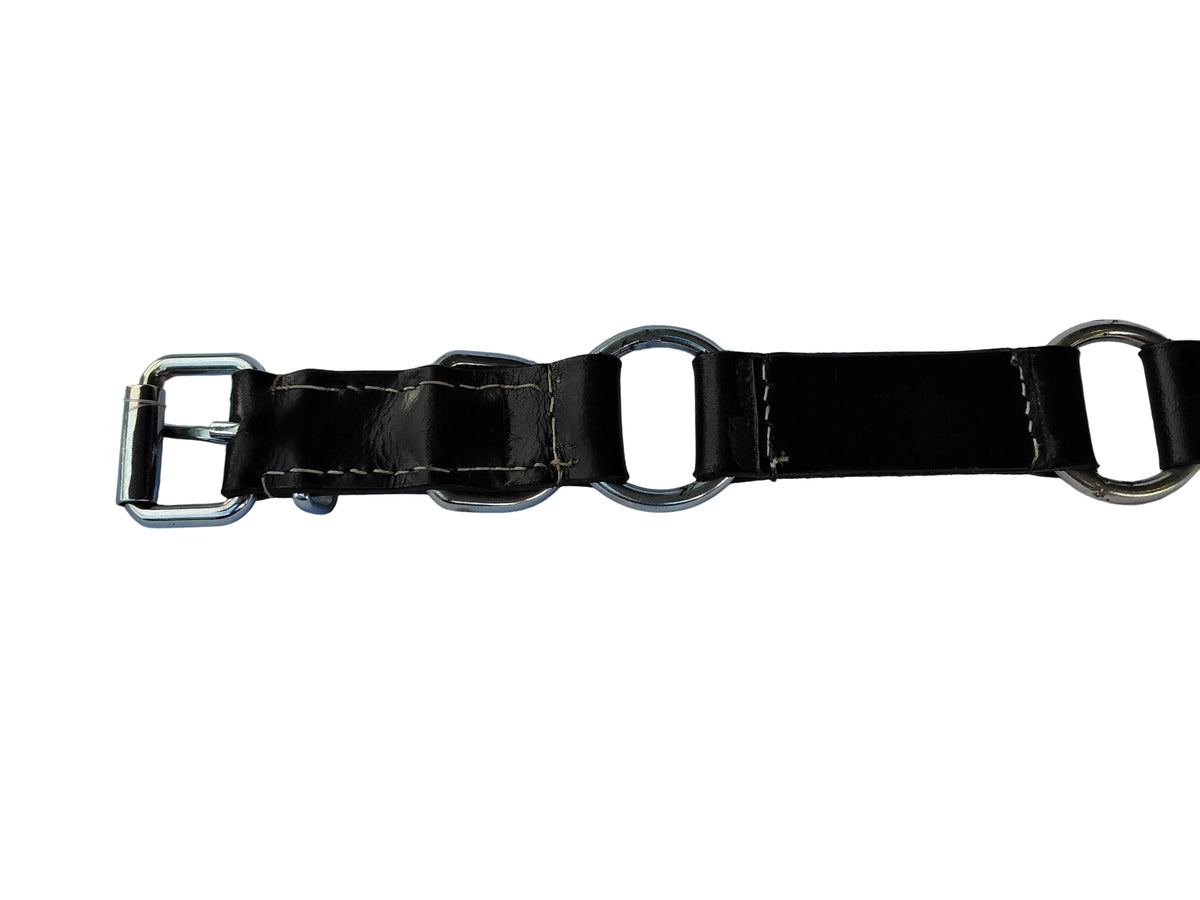 leather dog collar