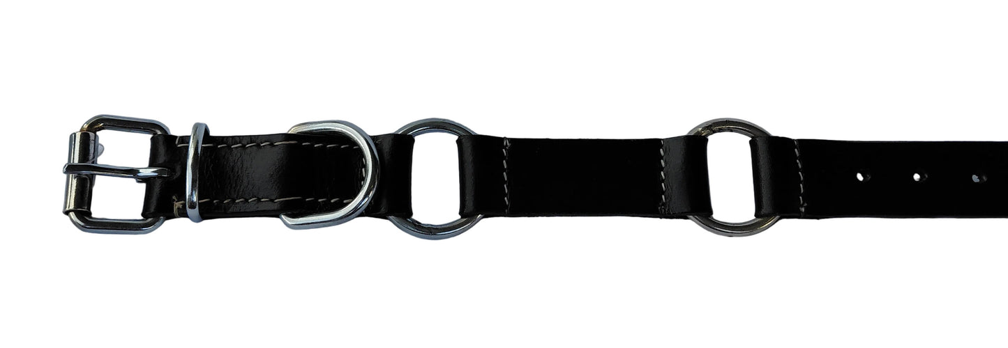 leather dog collar