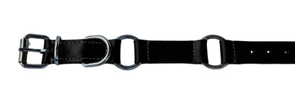 leather dog collar