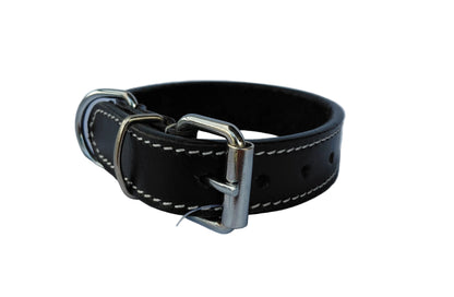 leather dog collar