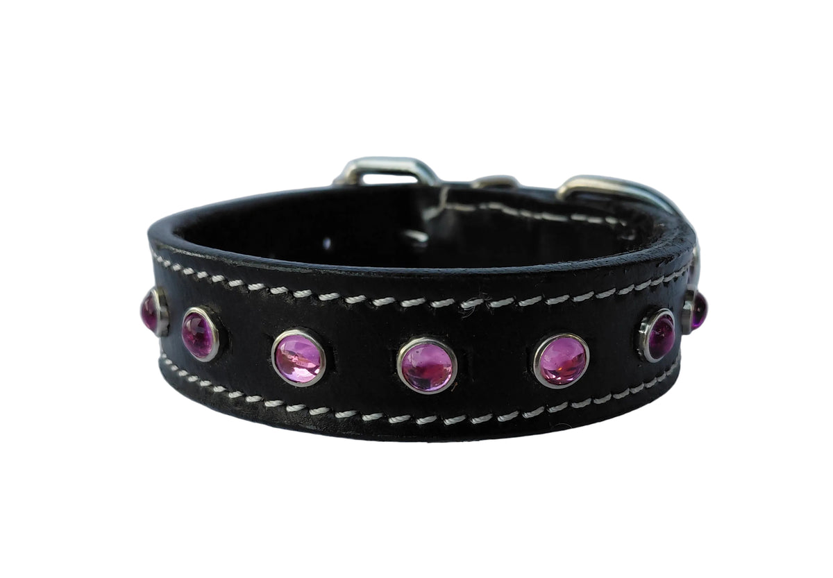 leather dog collar