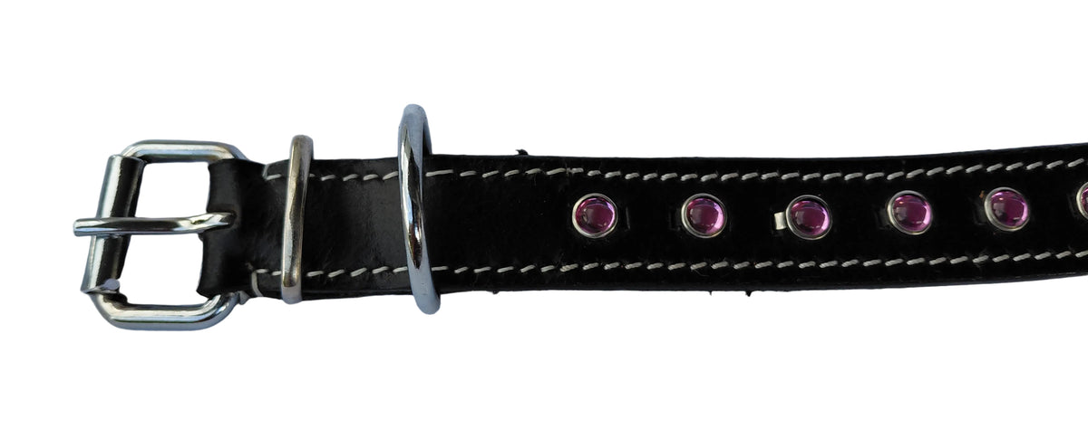 leather dog collar