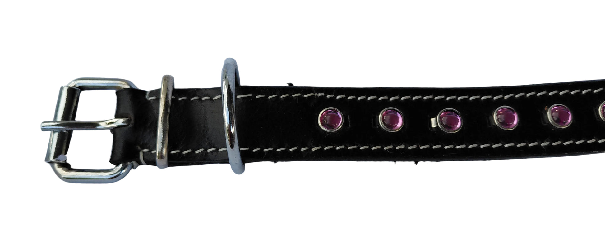 leather dog collar