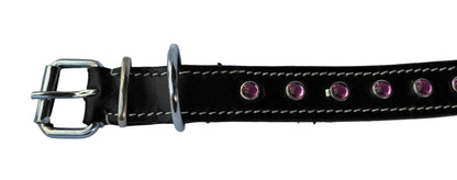 leather dog collar