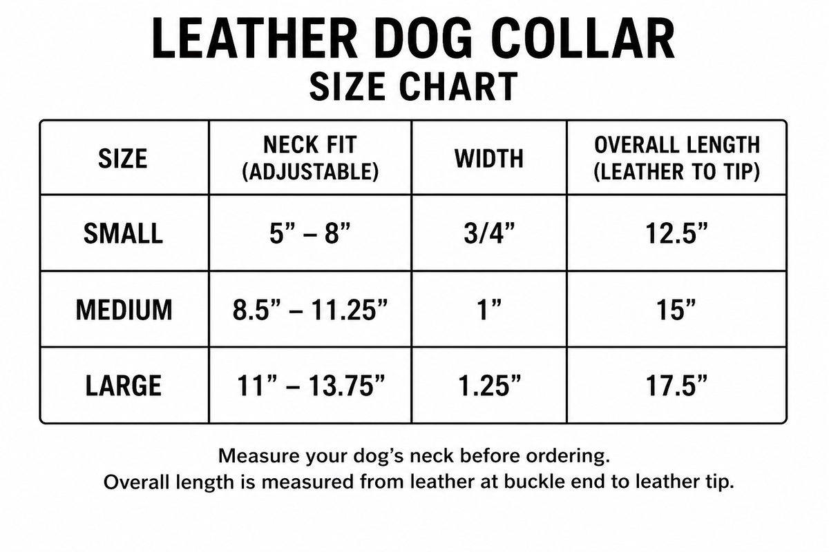 Hundehalsband aus Leder – Glatt & Western-geprägte Designs