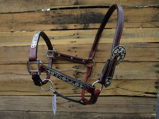 Leather Show Halter Western Horse Brown Leather Black Silver Trail